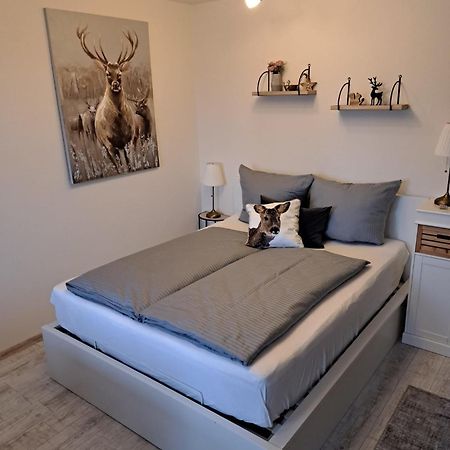Apartament Harzilein Braunlage Zewnętrze zdjęcie