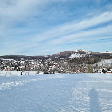 Apartament Harzilein Braunlage Zewnętrze zdjęcie